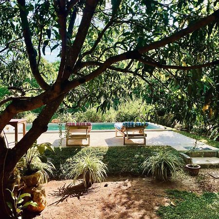 Shan Mango Homestay Sigiriya Eksteriør billede