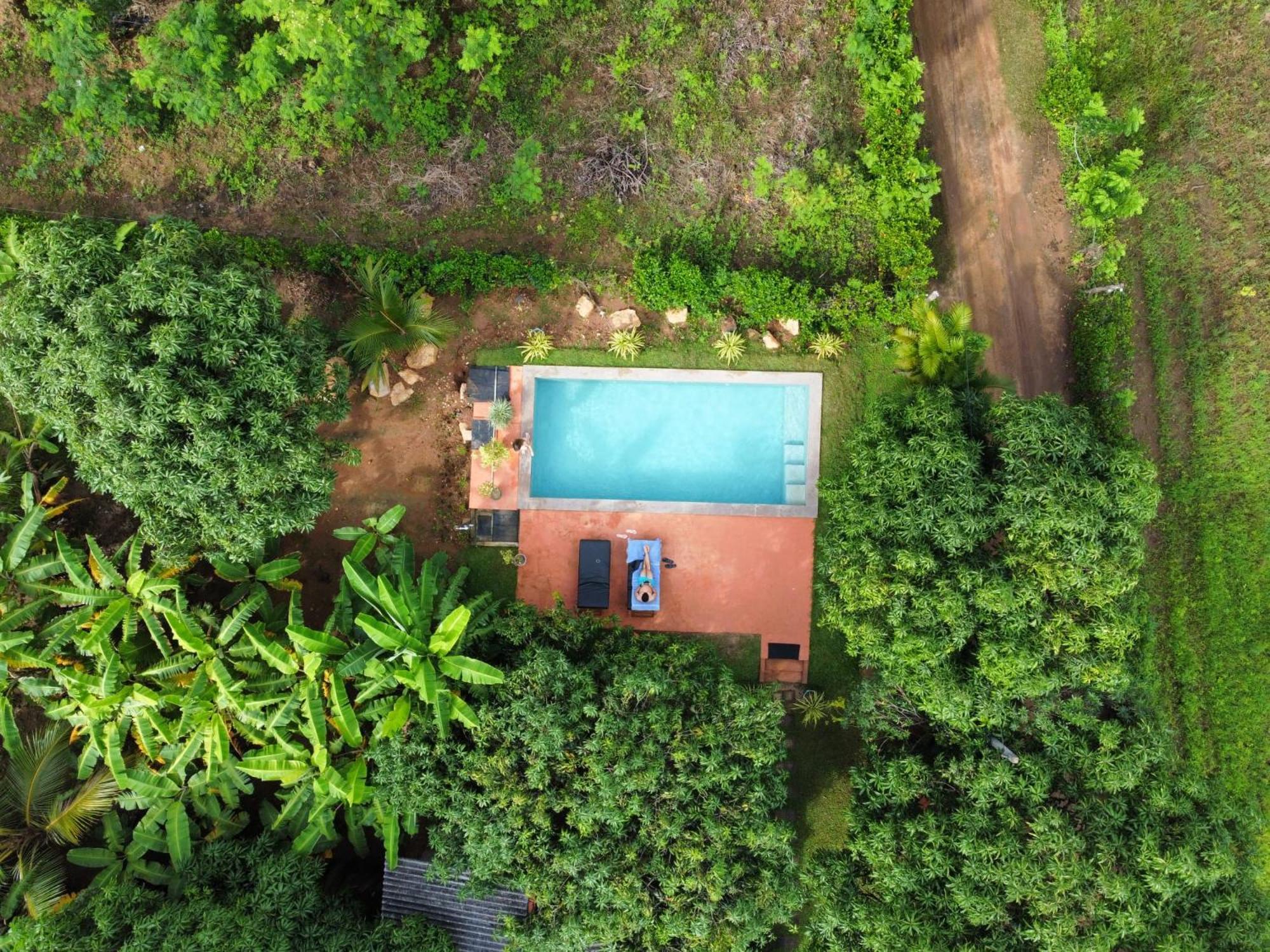 Shan Mango Homestay Sigiriya Eksteriør billede