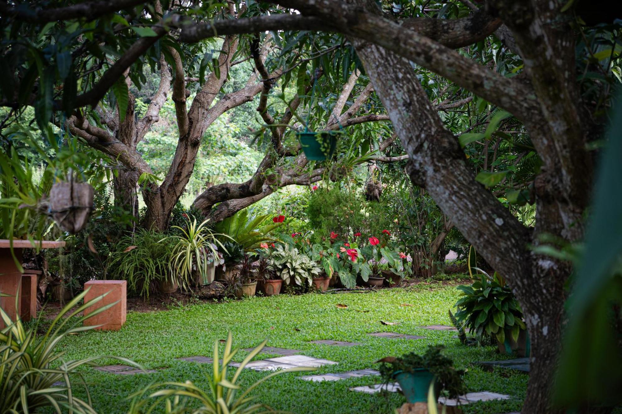 Shan Mango Homestay Sigiriya Eksteriør billede
