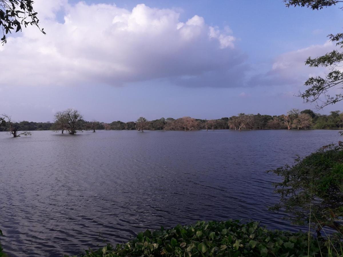 Shan Mango Homestay Sigiriya Eksteriør billede